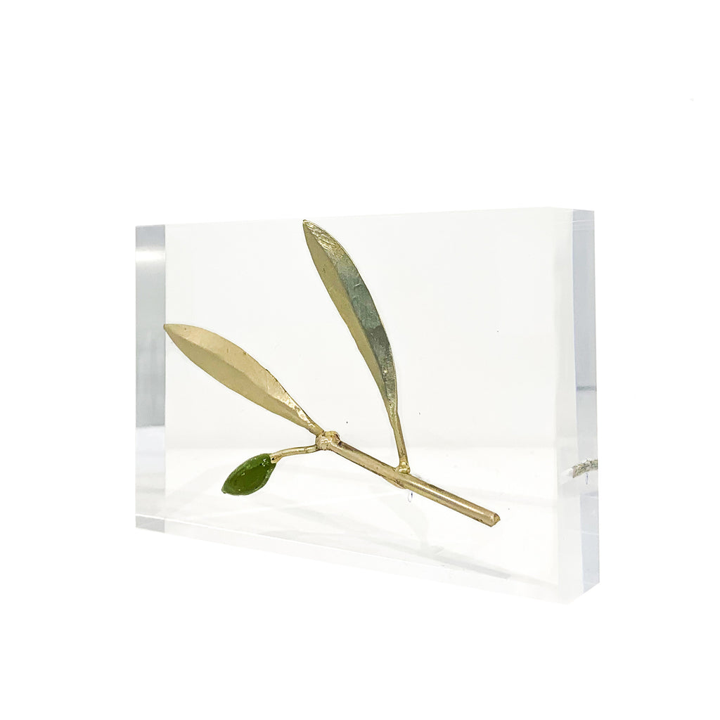 Bronze Olive Branch in Plexiglass by Aggelos Panagiotidis